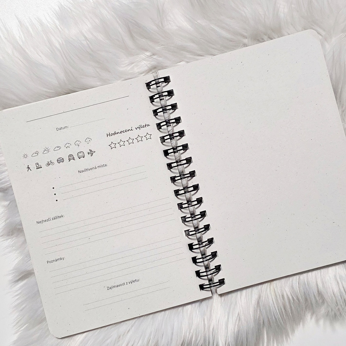 IMG_20251217_153911_(30_x_30_cm)