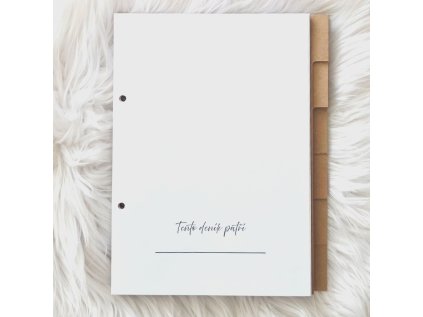 Cestovní deník - náhradní náplň