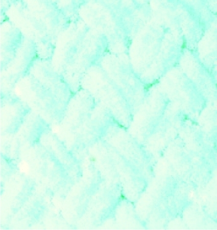 Pletací příze Alize Puffy 100 g Varianta: 13 (15) mint, Balení: 1 ks