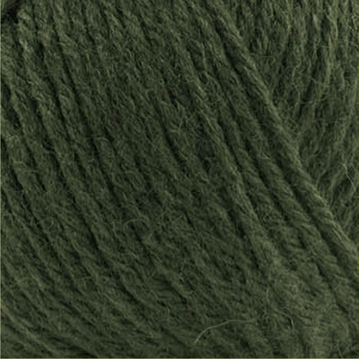 Wooltime Alize Wooltime: 873 jedlová zelená