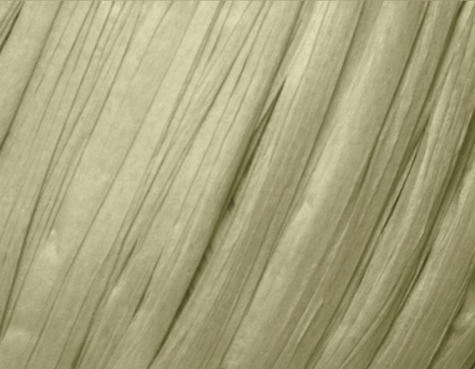 Fibra Natura Raffia Chunky Raffia Chunky: 15 světlá olivová
