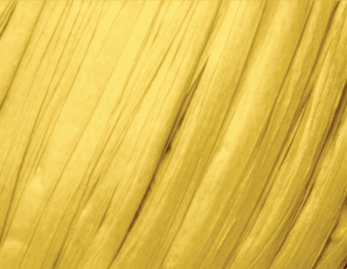 Fibra Natura Raffia Chunky Raffia Chunky: 24 slunečnicová žlutá