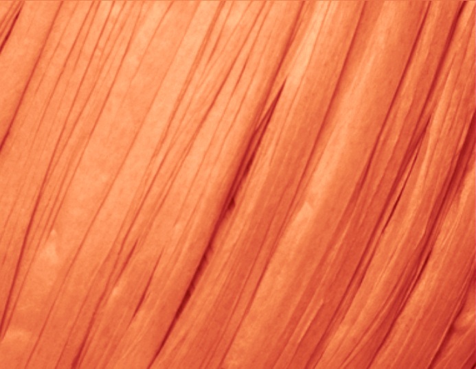 Fibra Natura Raffia Chunky Raffia Chunky: 25 oranžová