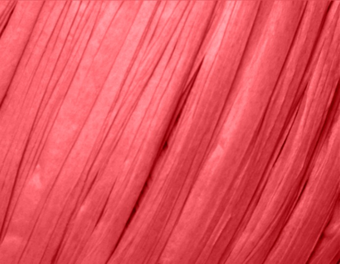 Fibra Natura Raffia Chunky Raffia Chunky: 28 oranžová neon