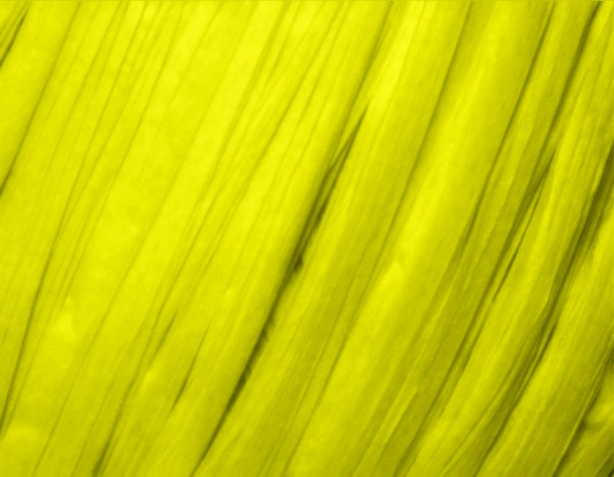 Fibra Natura Raffia Chunky Raffia Chunky: 37 citronová neon