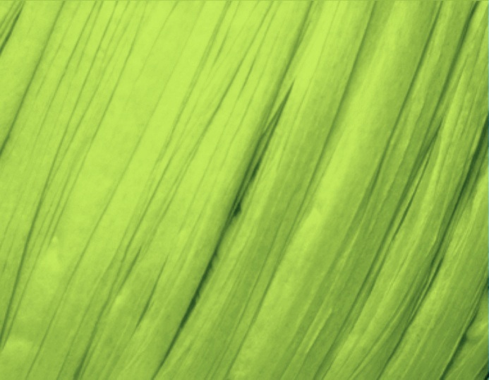 Fibra Natura Raffia Chunky Raffia Chunky: 38 zelený neon
