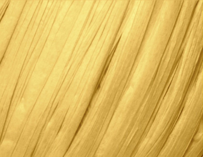 Fibra Natura Raffia Chunky Raffia Chunky: 03 hořčicová