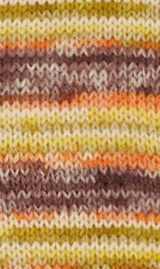Alize Superwash Artisan Superwash Artisan: 9006
