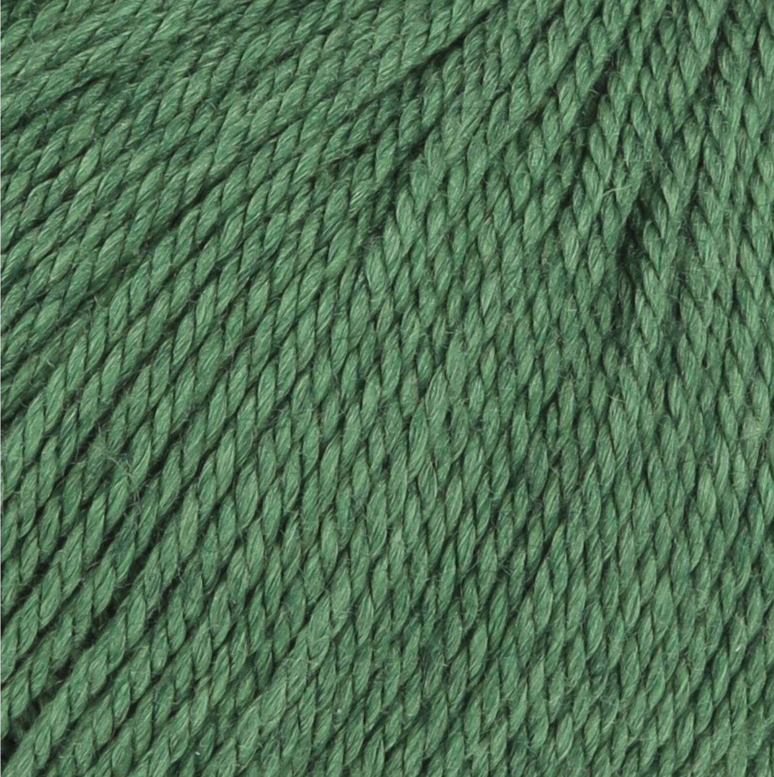 LANG Yarns Classic Silk (LANG) Classic Silk: 0017 Green