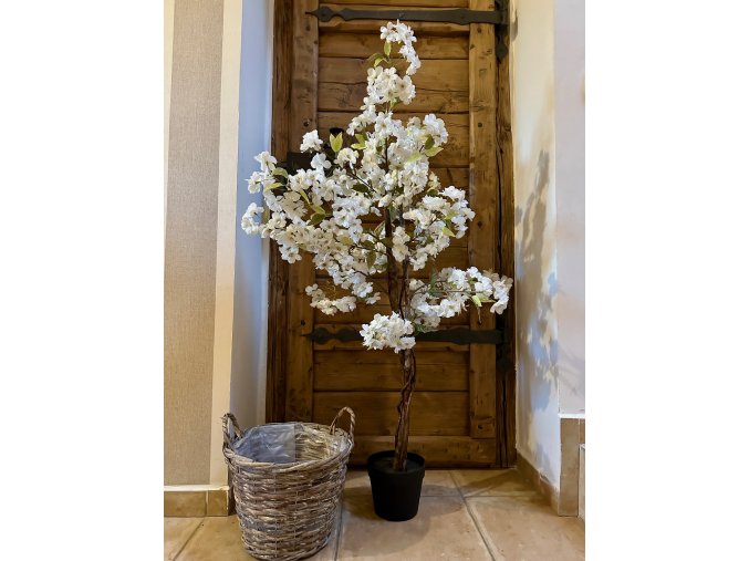Rozkvetlý stromek Sakura (bílá) - 120 cm
