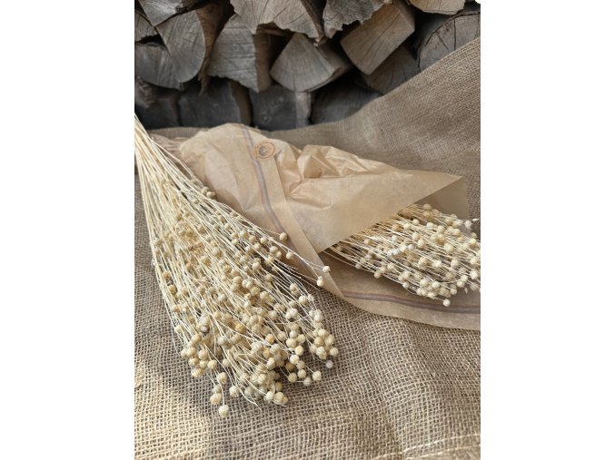 Sušený len - bělený 50 g