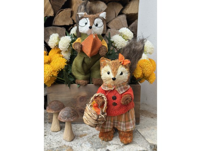 Podzimní liška (2 druhy)