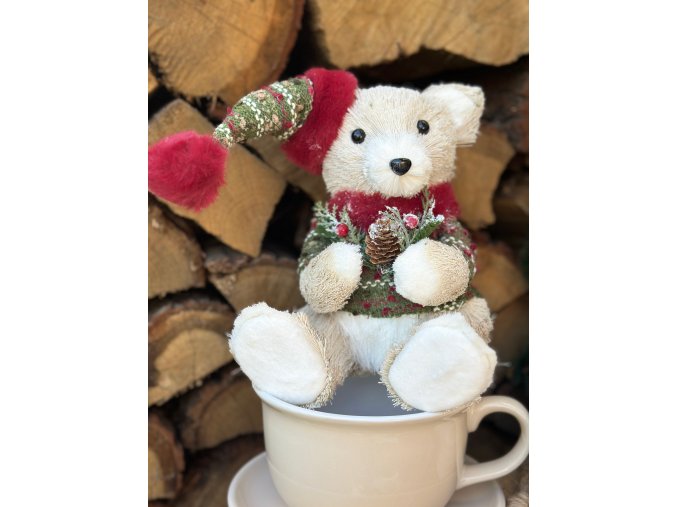 Sleva 50 %: Zimní medvídek