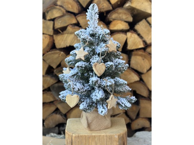 Sada malých dřevěných ozdob 6 ks (2 druhy)