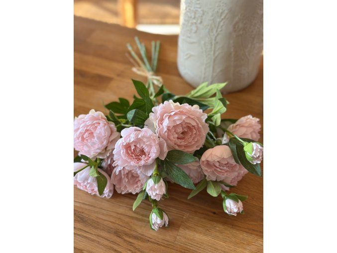 Svazek pivoněk (5 ks)