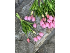 Svazek růžových tulipánů - 40 cm
