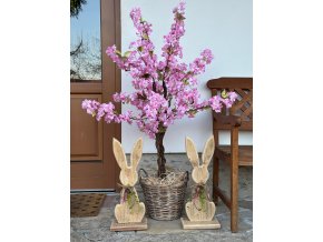 Rozkvetlý stromek Sakura (růžová) - 120 cm