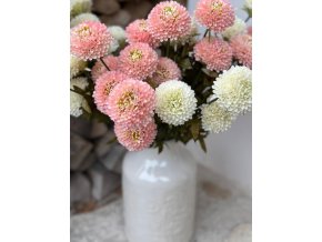 Dahlie - Jiřiny (vysoké) - 3 barvy