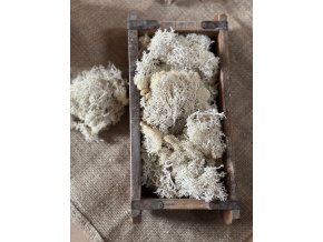 Stabilizovaný lišejník/mech SVĚTLÝ - balení 30 g