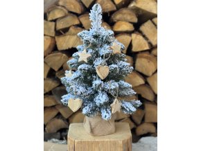 Sada malých dřevěných ozdob 6 ks (2 druhy)