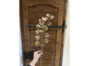 Zlatý eukalyptus populus (umělá větev)
