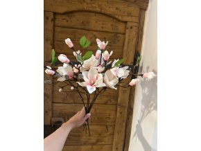 Magnolie - větvička 50 cm