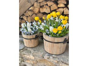 Vědra (sada obsahuje 2 ks)