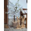 Rozkvetlý stromek Sakura (bílá) - 120 cm