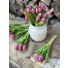 Svazek 5 ks tulipánů "Lila"- 31 cm