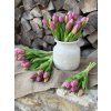 Svazek 5 ks tulipánů "Lila"- 31 cm