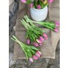 Svazek 5 ks tulipánů "Lila"- 31 cm