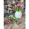 Svazek 5 ks tulipánů "Lila"- 31 cm