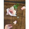 Magnolie - větvička 50 cm