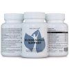 Blood sugar support dialess new group