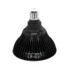 212 3 mito light bulb 5 0