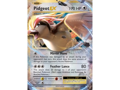 064/108 Pidgeot-EX (Evolutions XY) (varianta Rare Holo EX)