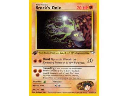 21 132 Onix