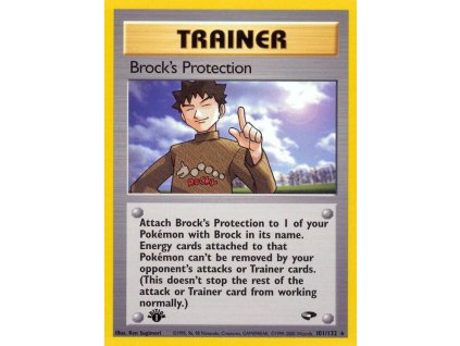 101/132 Brock's Protection (Gym Challenge)