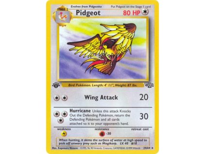 24/64 Pidgeot (Jungle)