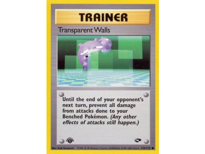 125/132 Transparent Walls (Gym Challenge)