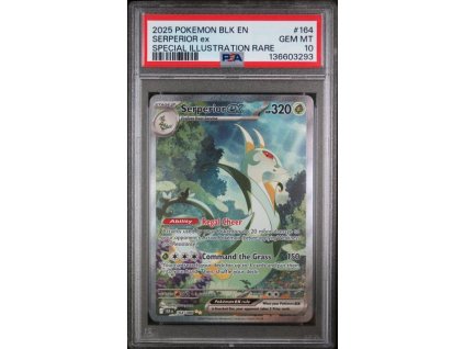 HBny6IUA8UOYhVcL8vP1cg