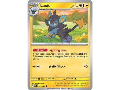 027/088 Luxio (Perfect Order)