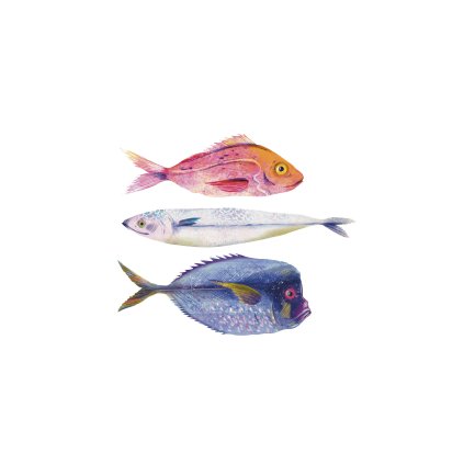 Strakova Rybky 30x40