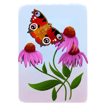 Pychova Motylek 30x40