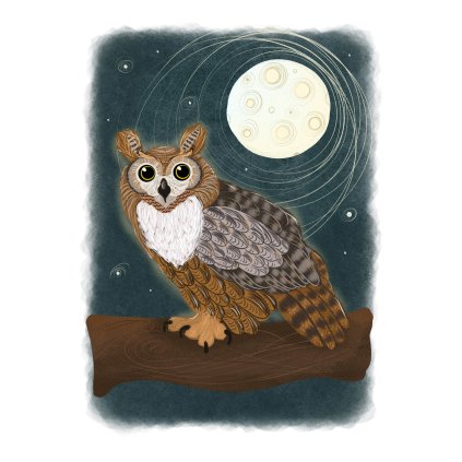 Pychova Moudra Sova 30x40