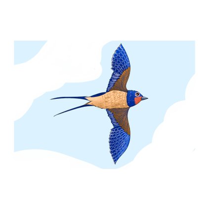 Pychova Vlastovka 40x30