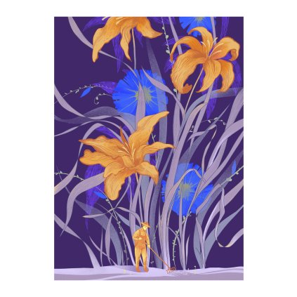 Kratochvilova Kosatec 30x40