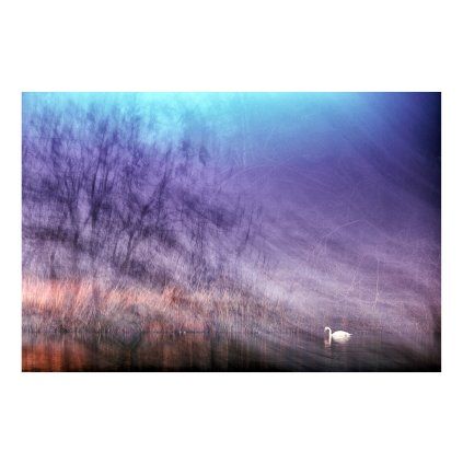 Hrebicek Drifting into a Dream 40x30