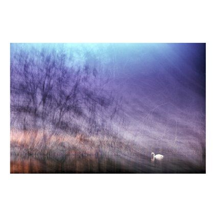 Hrebicek Drifting into a Dream 40x30