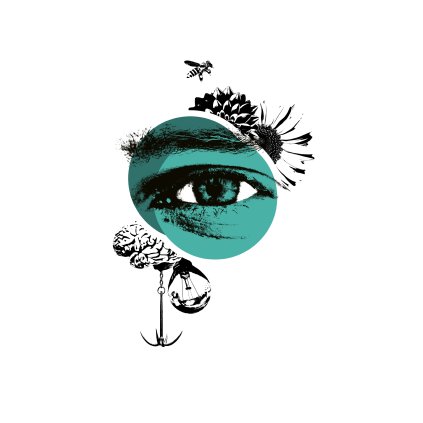 Moricka Oko III 30x40